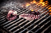 Octopus on a barbecue