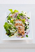 Fennel salad with crispy chicken breast and red onions