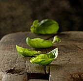 Fresh basil leaves on a wooden board