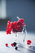 Various berries in a stemmed glass