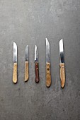 Five different kitchen knives with wooden handles (seen from above)