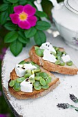 Bruschetta with broad beans, goat's cheese, lavender flowers and olive oil