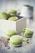 Matcha macaroons with a gift box