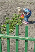 Kleines Mädchen giesst Pflanzen mit ihrer Gießkanne