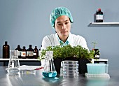 A lab technician observing plants in a laboratory