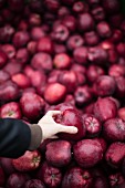 Marktstand mit roten Äpfeln