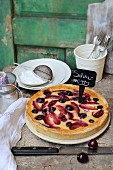 Quark cake with cherries and plums