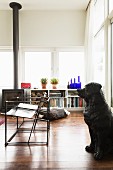 Schwarze Hundefigur an der Seite und filigrane Metallstühle, im Hintergrund Regal und Kaminofen unter Fensterband