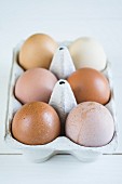 Various brown eggs in an egg box