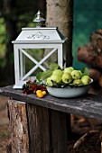 Apples and lantern on wooden bench in garden