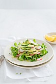 Cucumber and fennel salad with radishes