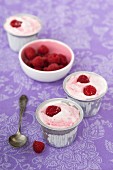 Homemade raspberry yoghurt ice cream