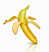 Halb geöffnete Banane vor weißem Hintergrund
