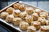 Cranberry and orange scones on a baking tray