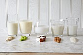 Various types of vegan milk in glasses