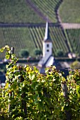 Bremm seen from vineyards, Rhineland Palatinate, Germany
