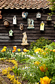 Gelb blühende Tulpen im Garten, im Hintergrund aufgehängten Nistkästchen und Deko-Tierfiguren an Holzwand
