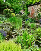 Teich mit Wasserpflanzen im Garten vor rustikaler Ziegel- und Natursteinfassade