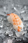 Nigiri sushi with a prawn on ice