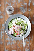 Quark with radishes, spring onions and cucumber