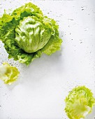 Fresh iceberg lettuce, whole and individual leaves