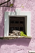 Lilac façade with windows edged in white, animal skull and grapes on stone windowsill