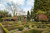 Clipped hedges and box balls in knot garden