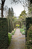 Garden path leading through arches and clipped yew hedges