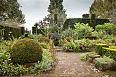 Juxtaposition of topiary and informal planting in garden