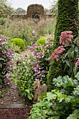 Purple flowers in autumnal garden