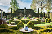 Various shapes of clipped hedges in landscaped garden