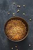 Fenugreek seeds in a metal bowl