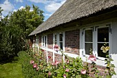 Traditionelles Reetdachhaus mit blühenden Malven