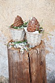 Two pine cones in small baskets on wooden post
