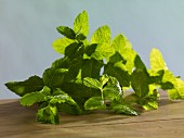 Fresh mint on a wooden table