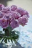 Glass vase of pale lilac roses