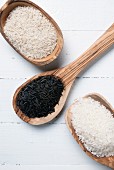 Three different types of rice on wooden spoons