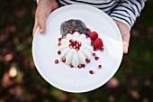 Hands holding a plate of panna cotta with chia seeds, pomegranate seeds and raspberries