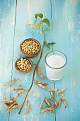 Glass of soya milk, dishes of soya beans and a sprig of soya beans