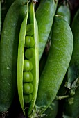 Fresh pea pods (close-up)