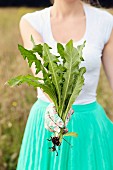 Woman wearing summery clothes and gardening gloves holding dandelion plant