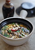 Scharf-saure Suppe mit Hähnchen und Koriandergrün (China)