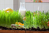 A laid breakfast table planted with grass in a kitchen