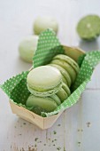 Green lime macaroons with lemon curd