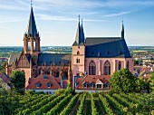 St. Catherine's church in Oppenheim, Rhine-Hesse, Germany