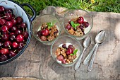 Three portions of cherry crumble in a meadow