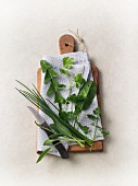 Fresh herbs with a knife on a wooden board