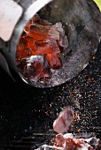 Glowing coals being shaken onto a barbecue