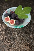 Figs with a leaf (Corsica)