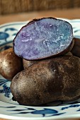 Gekochte Kartoffel der Sorte Blauer Schwede auf Teller